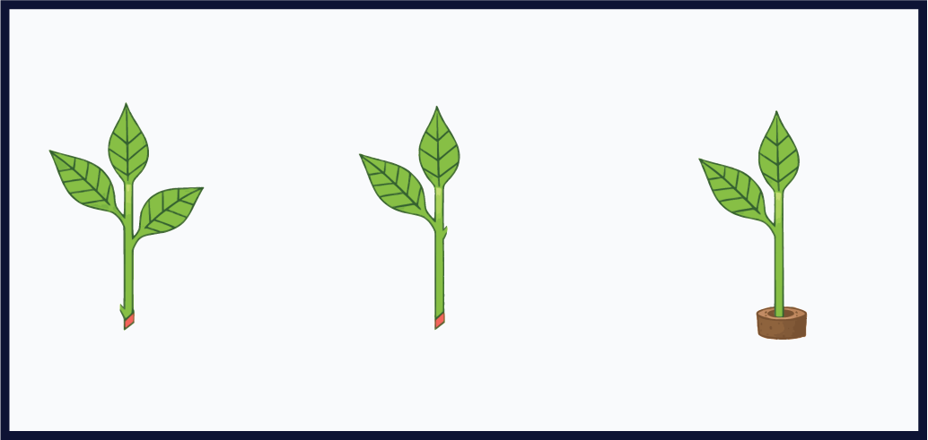 Cuttings guide