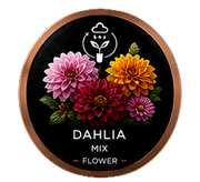 Build a Garden Seed Cartridge Bundle v2