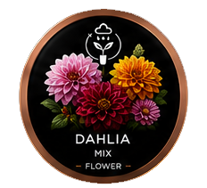 Build a Garden Seed Cartridge Bundle v2