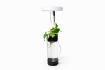 ECPonics Capsule LE