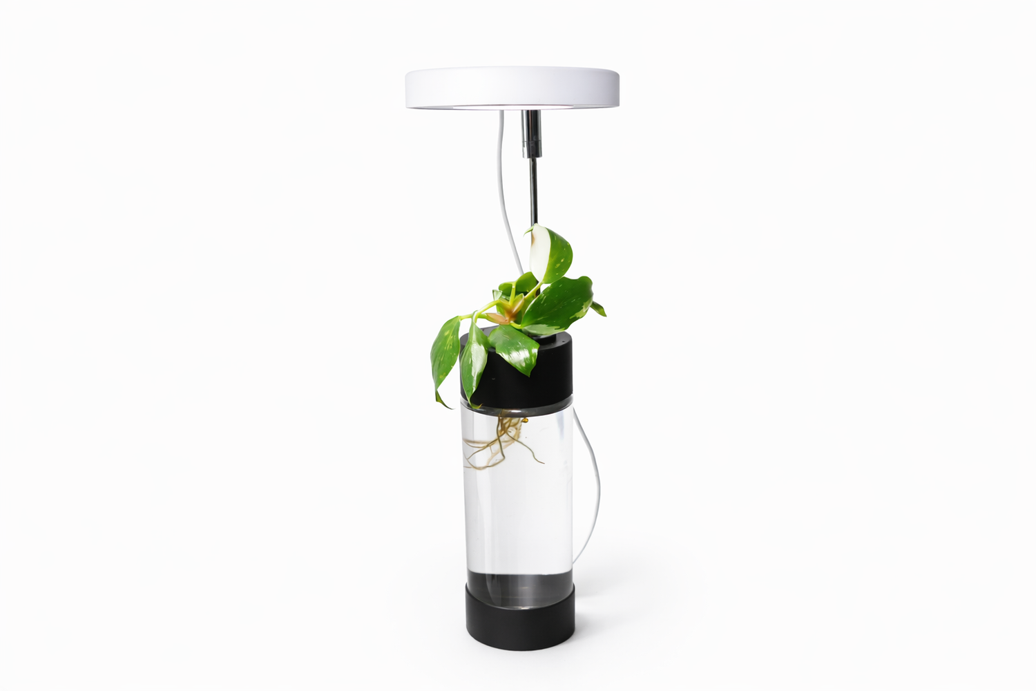 ECPonics Capsule LE