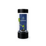 Alocasia Bisma Hard Leaf in ECPonics Capsule SE