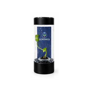 Alocasia Bisma Hard Leaf in ECPonics Capsule SE