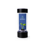 Alocasia Mint Elephant Ear in ECPonics Capsule SE