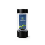Monstera Esqueleto Swiss Cheese in ECPonics Capsule SE