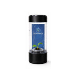 Philodendron Colombia in ECPonics Capsule SE