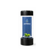 Philodendron Erubescens Moonlight in ECPonics Capsule SE