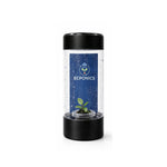 Philodendron Mini Black Cardinal in ECPonics Capsule SE