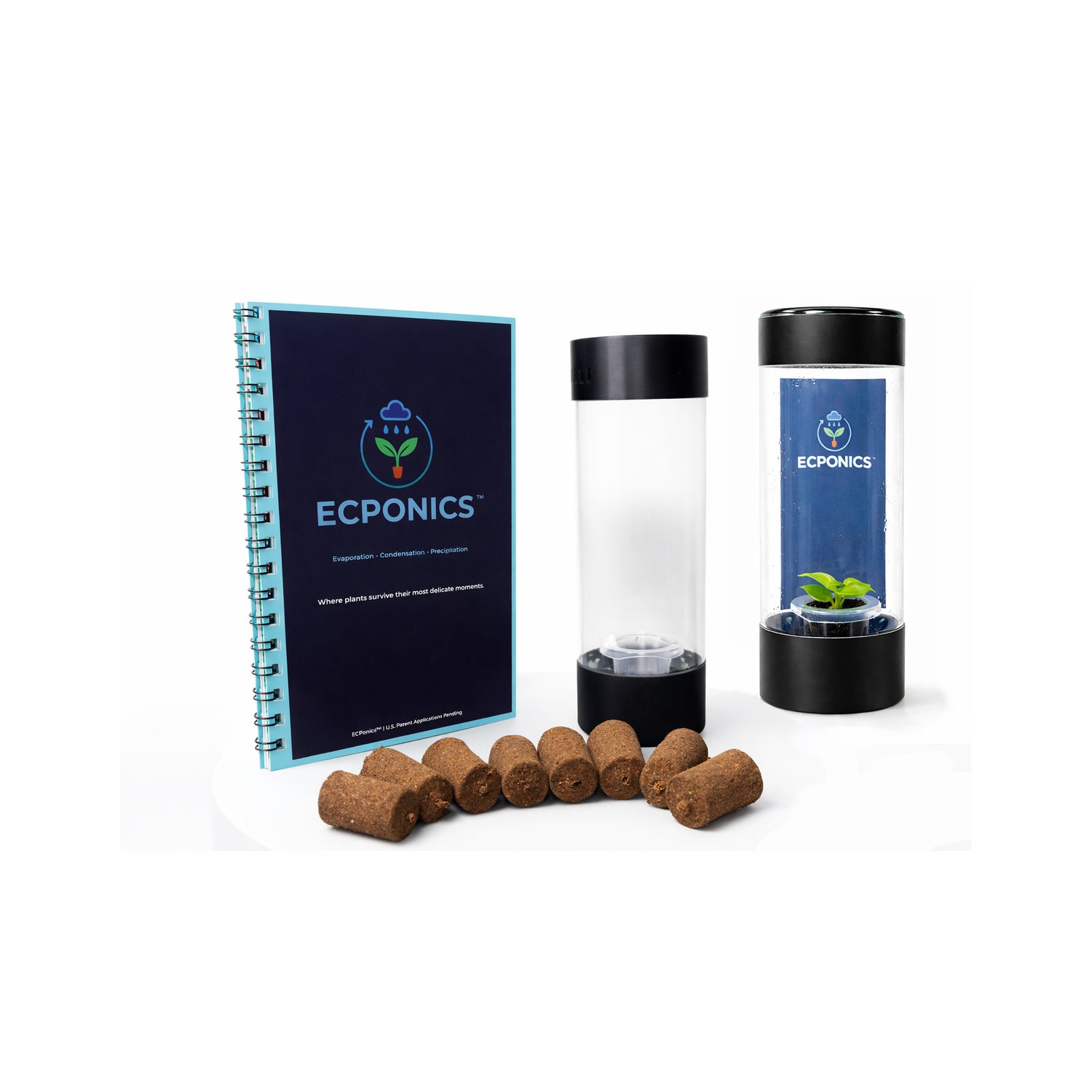 Propagation Success Kit with/ Philodendron Moonlight Live Starter Plant