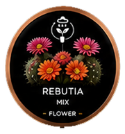 Build a Garden Seed Cartridge Bundle v2