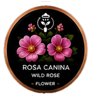 Build a Garden Seed Cartridge Bundle v2