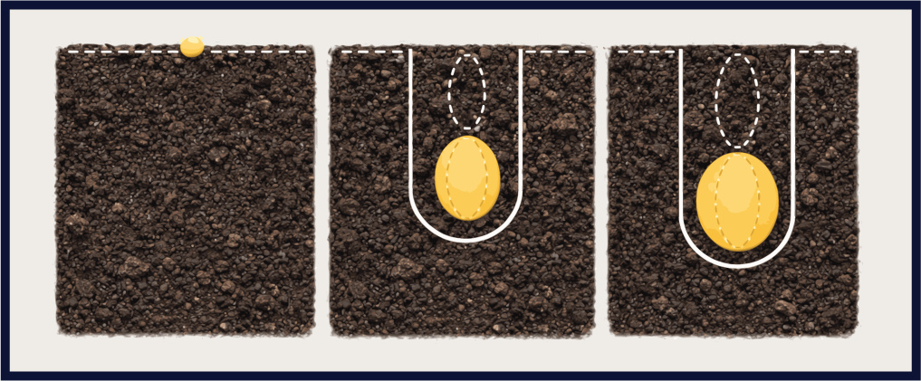 Sowing depth guide