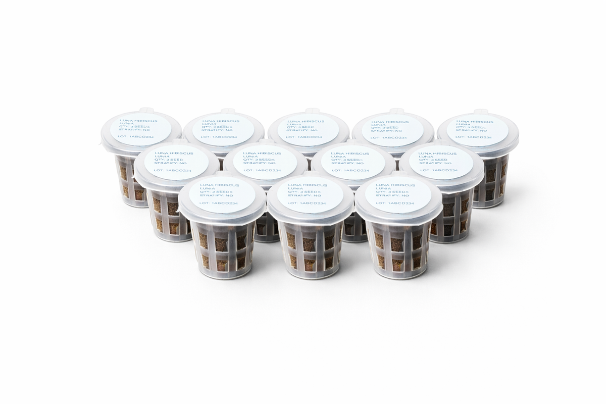 Build a Garden Seed Cartridge Bundle